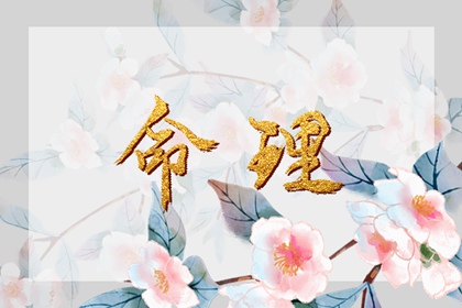 今日农历查询黄道吉日|农历日历2026年日历表|农历查询网